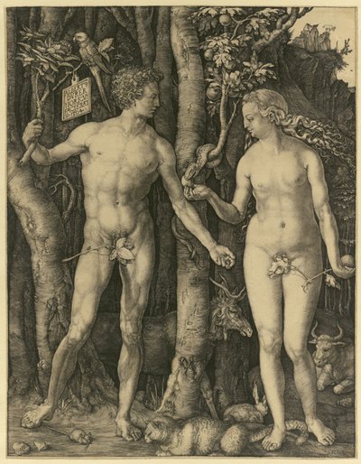 アダムとイブ 作： Albrecht Dürer