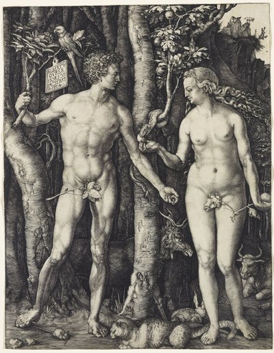 アダムとイブ 作： Albrecht Dürer