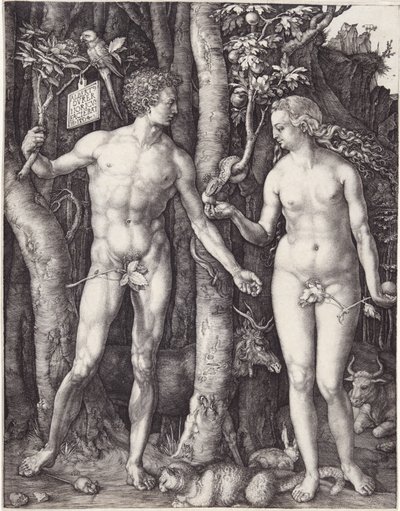 アダムとイブ、パブ。1504年に描かれたもの 作： Albrecht Dürer