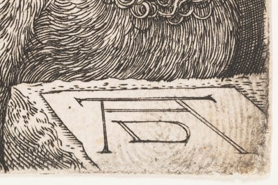  作： Albrecht Dürer or Duerer
