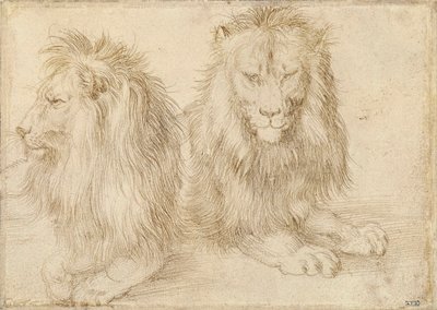 2 頭のライオン - Albrecht Durer (1471-1528) による描画 作： Albrecht Dürer