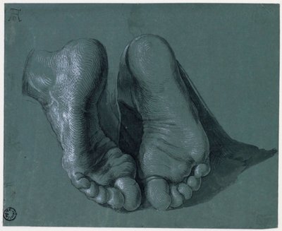 Etude de pieds - Study of Two Feet - Drawing by Albrecht Durer (1471-1528), Watercolour, white color, black chalk on paper, c1508 (17.6x21.6cm) - Museum Boijmans Van Beuningen、ロッテルダム 作： Albrecht Dürer