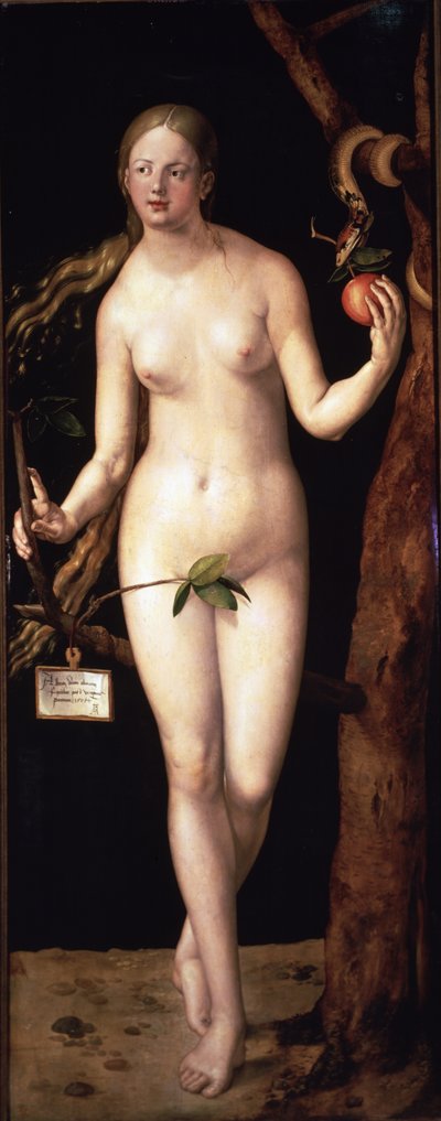  作： Albrecht Dürer or Duerer