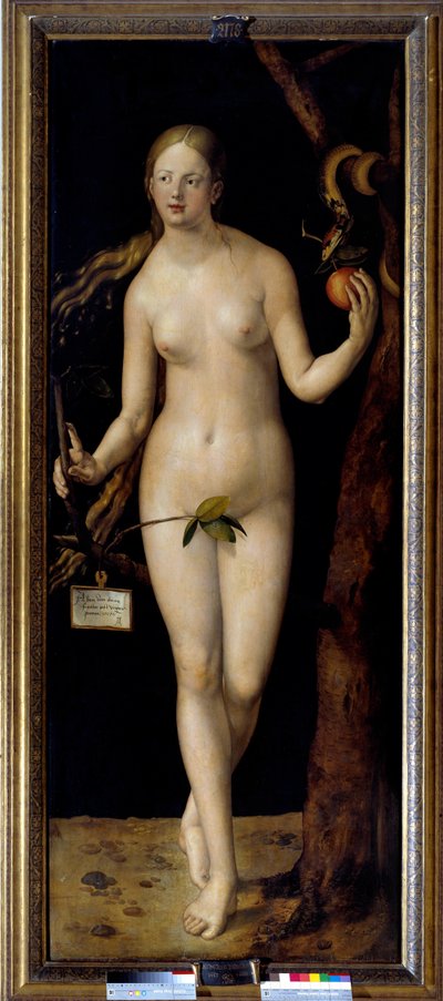 アルブレヒト・デューラー（1471-1528）によるイブの絵、木に油彩 作： Albrecht Dürer