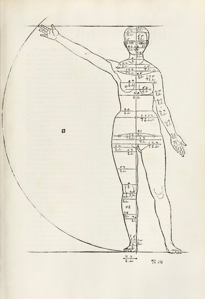Hierinn sind begriffen vier bücher von menschlicher Proportion」の女性の解剖学的木版画 作： Albrecht Dürer