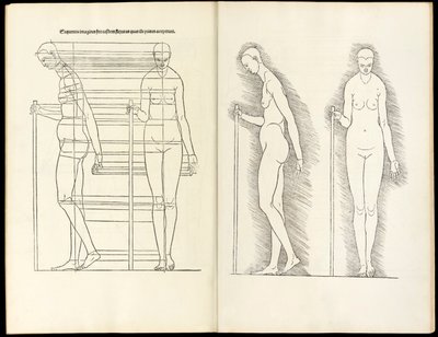 スタッフがいる女性、こちらからの解剖学的な木版画は、人間のプロポーションの4冊の本であると理解されています、1528 作： Albrecht Dürer