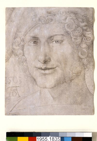 若い男の頭、1503 作： Albrecht Dürer