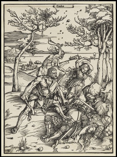  作： Albrecht Dürer or Duerer