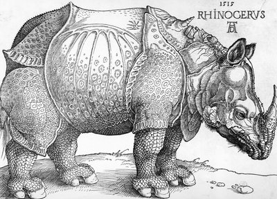 Rhinoceros 作： Albrecht Dürer