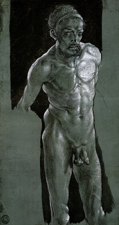 自画像、c.1503（紙にインク） 作： Albrecht Dürer