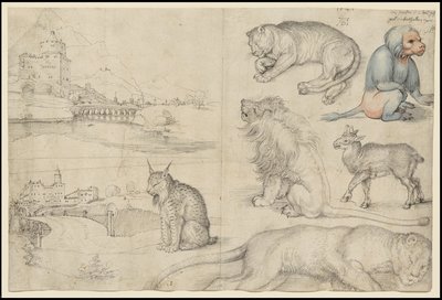 動物と風景のスケッチ、1521 作： Albrecht Dürer