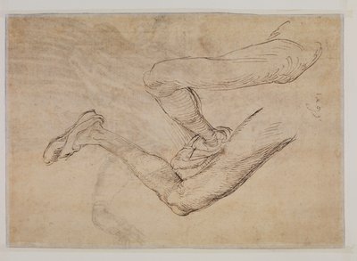 2つの視点からの左脚の研究 作： Albrecht Dürer