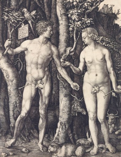 アルブレヒト・デューラーの「人間の堕落 作： Albrecht Dürer