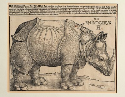 サイ 作： Albrecht Dürer or Duerer
