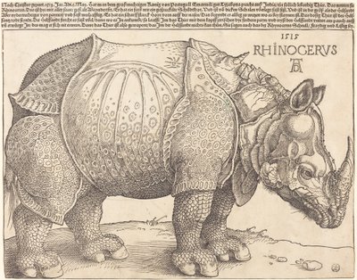 サイ 作： Albrecht Dürer