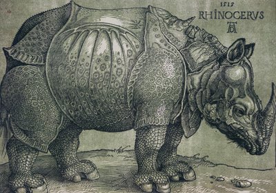 サイ、1515 作： Albrecht Dürer