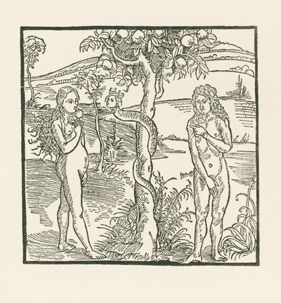 落下。リッター・フォン・ターン』の挿絵、1493-93年頃（木版画） 作： アルブレヒト・デューラーまたはデューラー