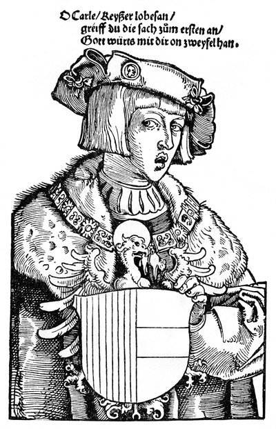 ヤング・チャールズV 作： Albrecht Dürer