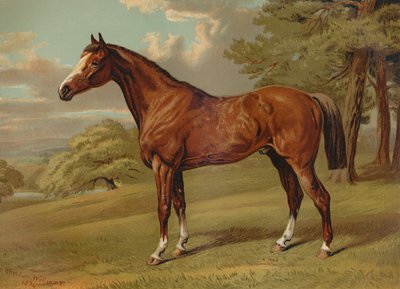 「スティルトン ハンター」、c1879。 作： Aldfred Sheldon Williams