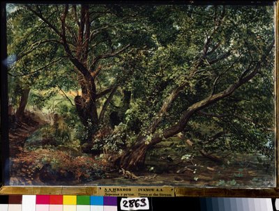 「川の木々」アレクサンドル・イワノフ（1806-1858）による絵画、1837年国立ロシア美術館、サンクトペテルブルク 作： Aleksandr Andreevich Ivanov