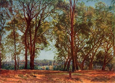 アリッチ公園、1830年代、1965年。 作： Aleksandr Ivanov