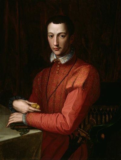 フランチェスコ・デ・メディチ、c。 1560年。 作： Alessandro Allori