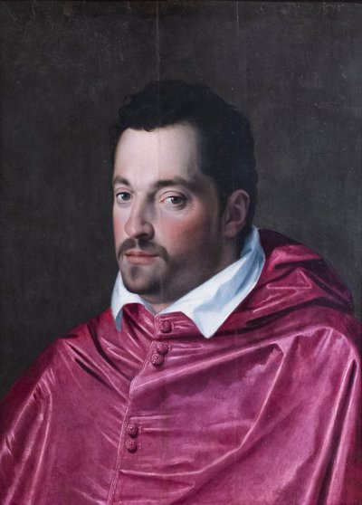 フェルディナンド・メディチ枢機卿の肖像 作： Alessandro Allori