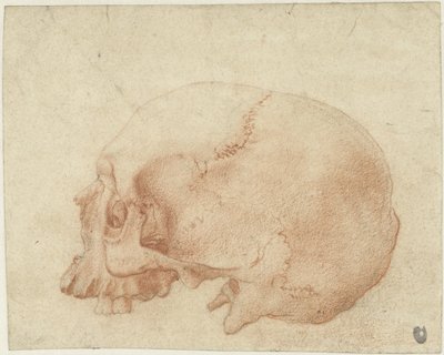 頭蓋骨の研究 作： Alessandro Allori