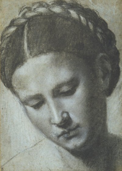 編んだ髪の女性の頭（カルタ・アッズーラに木炭・白チョーク 作： Alessandro Bonvicino Moretto