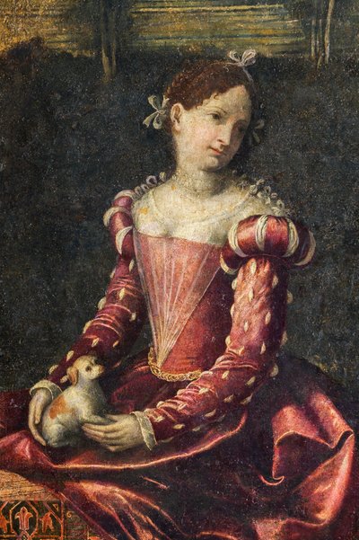 貴婦人の肖像画、貴婦人の小部屋の詳細 (壁に接着されたキャンバスに油彩) 作： Alessandro Bonvicino Moretto