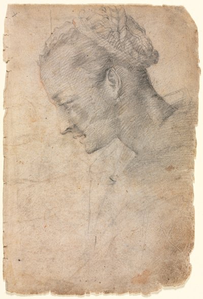 女性の頭のプロフィール、後半1500年代。 作： Alessandro Casolani