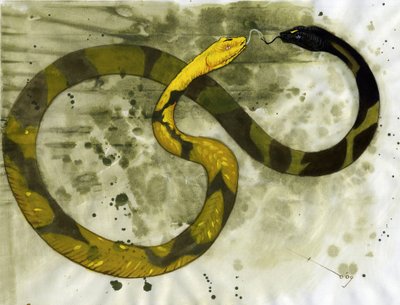 素晴らしい生き物: 2 つの頭を持つヘビ、アンフィスベネの表現。 アレッサンドロ・ロナティの絵 作： Alessandro Lonati