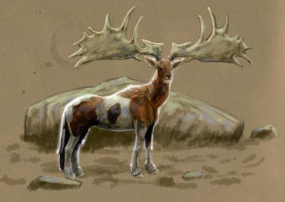 幻想的なモンスターと生き物、未確認動物学: カバの表現 - アレッサンドロ・ロナティ作、2012 年 作： Alessandro Lonati