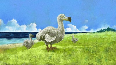 絶滅したドードー鳥の表現（イラスト） 作： Alessandro Lonati