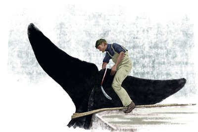 クジラの尻尾を切るクジラ船 作： Alessandro Lonati