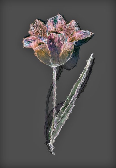 Flower,2020,(ミクストメディア) 作： Alex Caminker