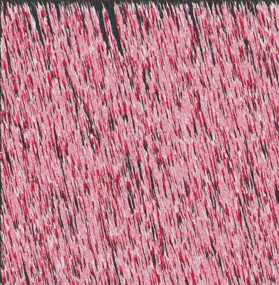 Margin I,2019,(mixed media) 作： Alex Caminker
