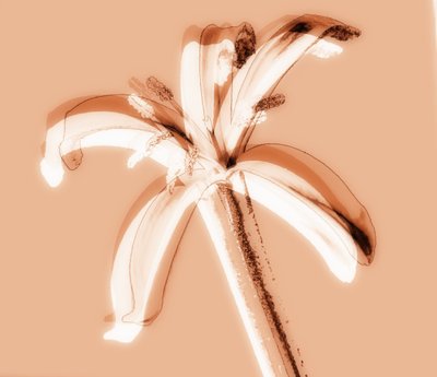 Untitled,2019,(mixed media) 作： Alex Caminker