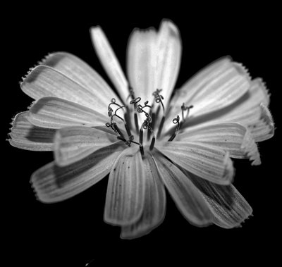 Untitled,2019,(photography) 作： Alex Caminker