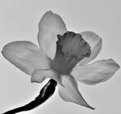 Untitled,2019,(photography) 作： Alex Caminker