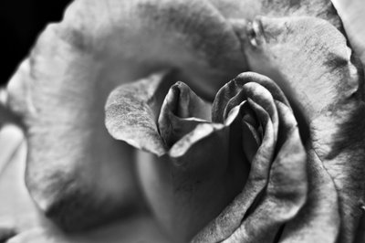 Untitled,2019,(photography) 作： Alex Caminker