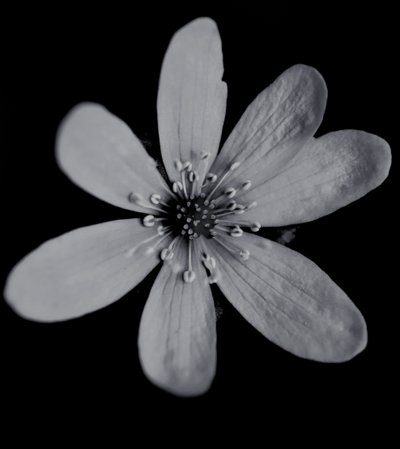 Untitled,2019,(photography) 作： Alex Caminker