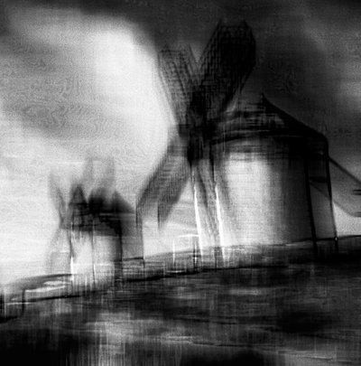 風の翼,2019,(写真) 作： Alex Caminker