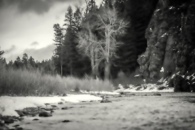 アクセント、2019年、（写真 作： Alex Caminker