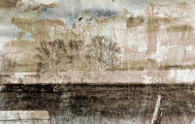 brown fog,2019,(mixed media) 作： Alex Caminker