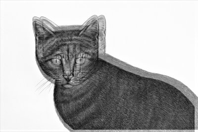 電気猫,2019,(mixed media) 作： Alex Caminker