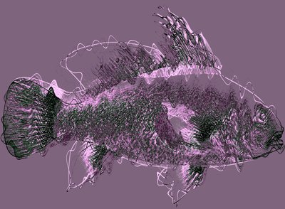 fish III,2020,(ミクストメディア) 作： Alex Caminker