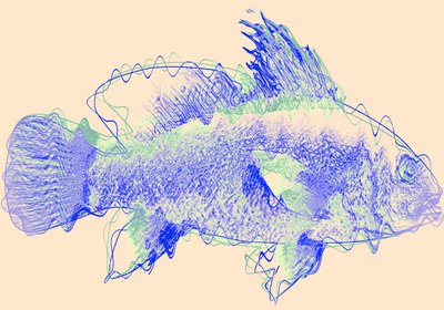 fish IV,2020,(ミクストメディア) 作： Alex Caminker