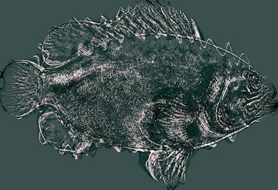 fish in green,2020,(ミクストメディア) 作： Alex Caminker