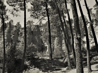 インサイド・ユニバース、2019年、（写真 作： Alex Caminker